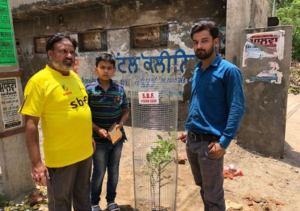 Plantation Programme, Punjab