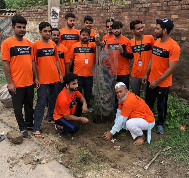 Plantation Programme in Malerkotla, Punjab