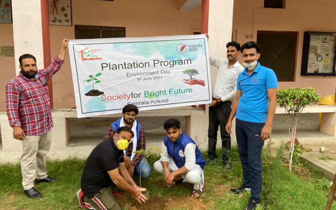 Tree Plantation Drive by Society for Bright Future