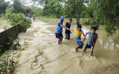 On 30 May 2024, the SBF Assam south (Kandigram team) has started the rescue work of cattles after the water level increases in the locality.