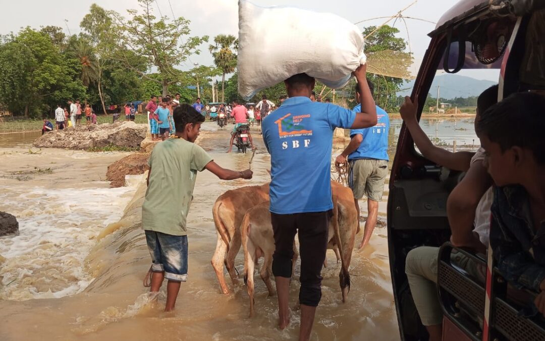 On June 1, 2024, houses belonging to 900 families in the Nagaon Rangaloo area were flooded due to the rinsing water level of the Kampur River in Nagaon district