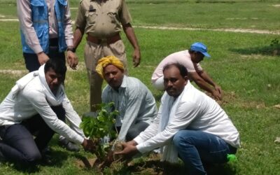 SBF’s Sarai Meer Core Plants 550 Saplings in Towa Village On July 20, 2024, the Society for Bright Future’s Sarai Meer area core successfully planted 550 saplings in Towa village.