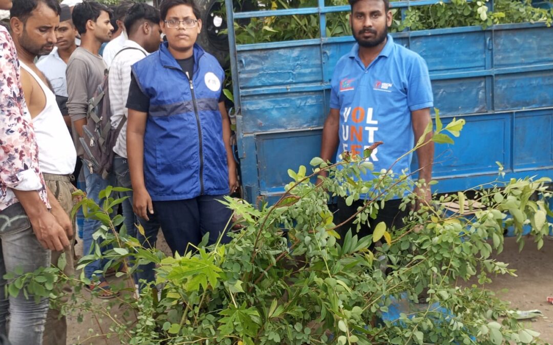 Successful Tree Plantation Program in Araria and Forbesganj