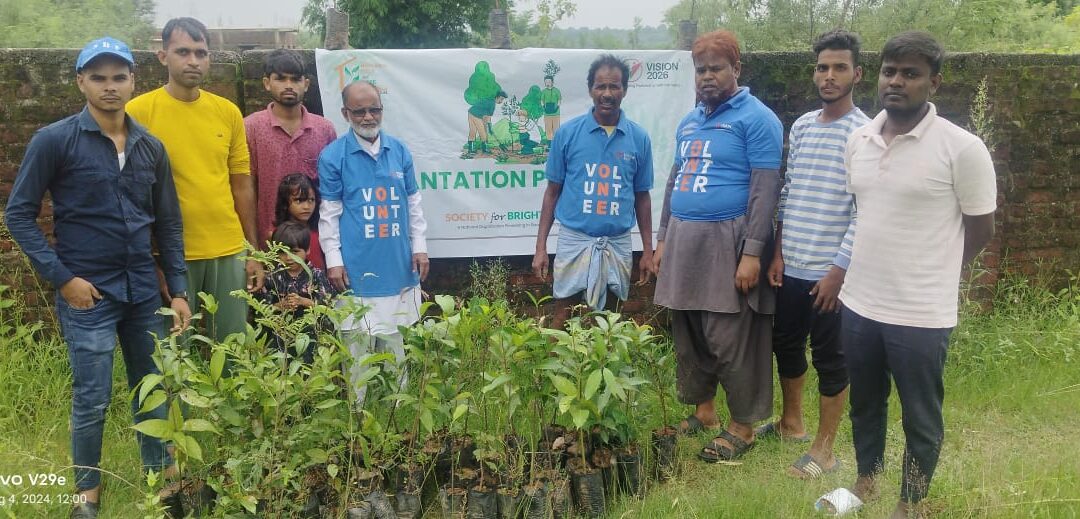 Cleanliness & Tree Plantation Drive