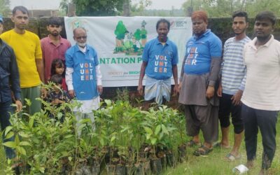Cleanliness & Tree Plantation Drive