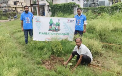 Celebrating Independence with a Green Future!