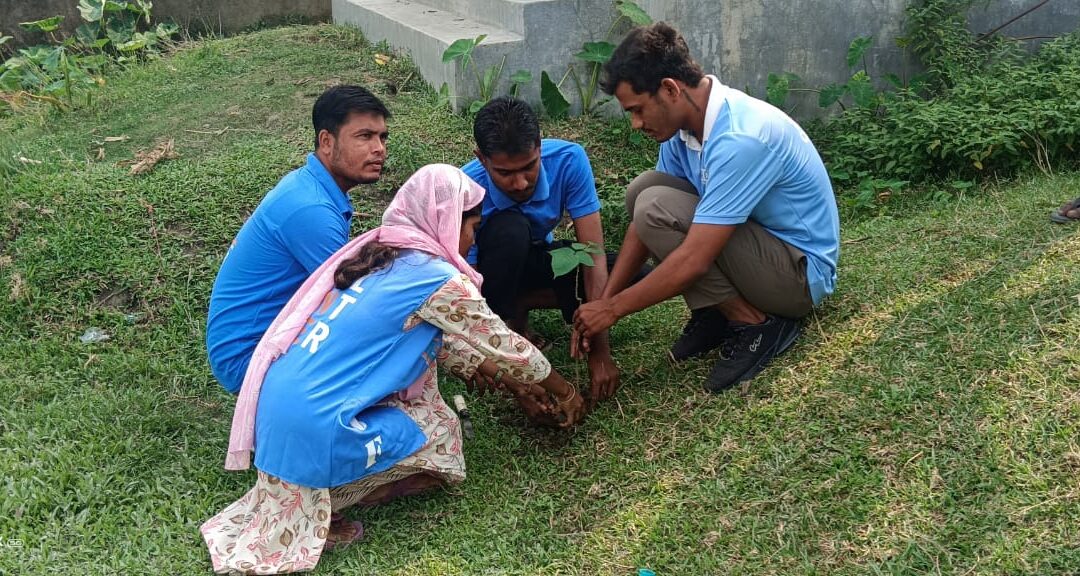On October 17, 2024, the Kamrup team of Society for Bright Future (Assam North) led a successful tree plantation drive in Chowk Bazar 2, No. Tupamari.