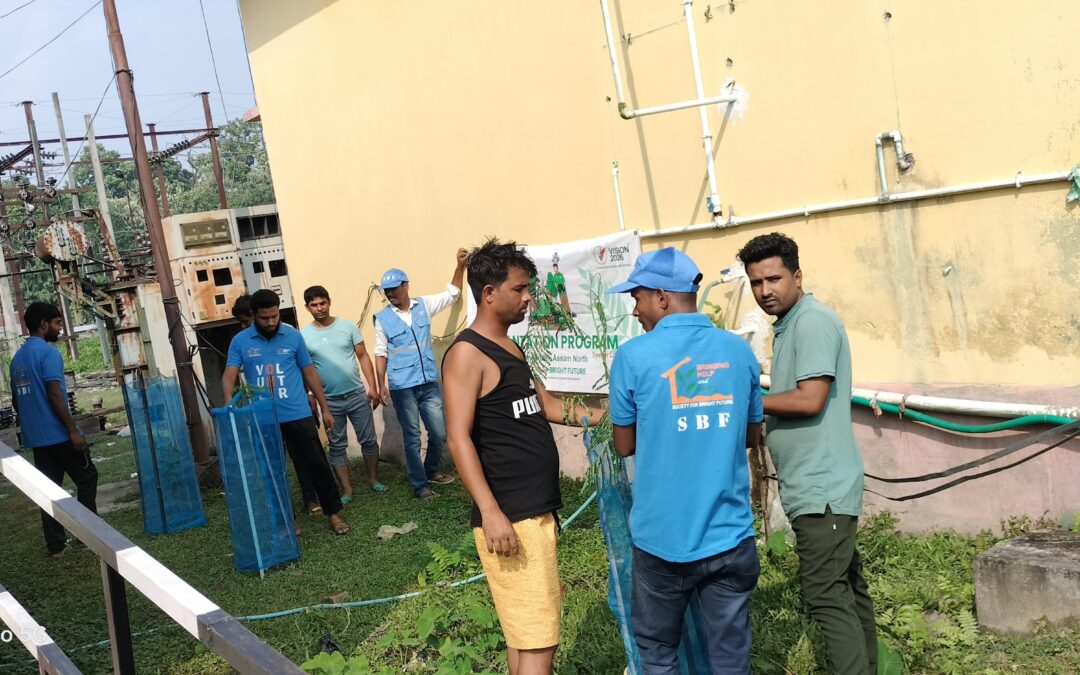 On the occasion of International Disaster Risk Reduction Day (October 13, 2024), the Mahamaya Area Core of SBF Assam North Zone (Kokrajhar District) organized a sapling plantation drive at the APDCL Electric Office, Mahamaya.