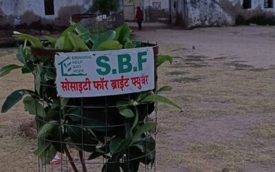 Beawar जिले में Society for Bright Future (SBF) द्वारा लगाया गया एक छोटा-सा पौधा आज एक मजबूत और हरा-भरा पेड़ बन चुका है। यह केवल एक पेड़ नहीं, बल्कि समर्पण, धैर्य और सकारात्मक प्रयासों का जीवंत प्रतीक है।